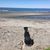 Michelle Maynard's profile image