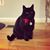 Jillian Klock Winne's profile image