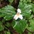 Penny Benda's profile image