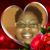 Yorlanda Adams's profile image