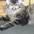 Chela Nevarez's profile image