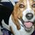 Cheryl Knowlton's profile image