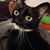 Don Huff's profile image