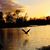Carrie Bausemer's profile image