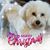 Ann E. Phifer's profile image