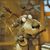 Lee Spurlock's profile image