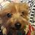 Mayaguez Ayuso's profile image