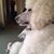 Denise Rose Emond-Griffin's profile image