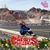 Eileen M Robinette's profile image
