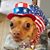 Lori B Watson's profile image