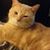 Theresa Whiddon's profile image
