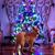 Kathy Bodway's profile image