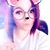 Dorothy Ann Stuhlmacher's profile image