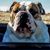 Paul D. Parrish's profile image