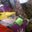 Amy Heishman's profile image