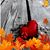 Charlene Taylor's profile image