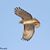 Jan D Palland's profile image