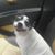 Margaret Bondanza's profile image