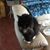 Mindy McClanahan-Johnson's profile image