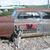 Connie VanHorn's profile image