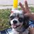 Ana Patricia Coronado's profile image