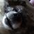 Annette Nelson's profile image
