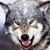 Camillia Nichols's profile image