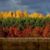 Donna Santackas Miller's profile image