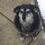Paul McCormick's profile image