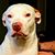 Kim Gaylord-Brookshier's profile image