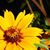 Kelly Winiesdorffer's profile image