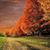 Connie Dugger's profile image