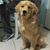 Maryann Scriven's profile image