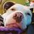 Tara Sherman Trainor's profile image