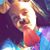 Alley Smith's profile image