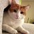 Penny Micifuz's profile image