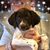 Tiffany Lunsford's profile image