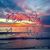 Bree Anne Pappan's profile image