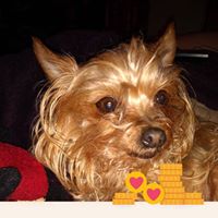 Tonya Barton's profile image