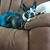 Joyce Scinto C. Phillips's profile image