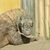 Carol McCormick's profile image
