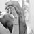 Cahit Oguz's profile image