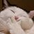 黃美華's profile image