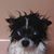 Sally Miramon's profile image