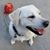 Justine H Ketell's profile image