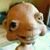 Andy Miles's profile image