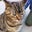 Celeste Ribbins's profile image