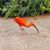 Dennis Matthew Gray's profile image
