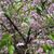 Mary Helen Barker's profile image