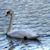 Lesley Hendricks's profile image